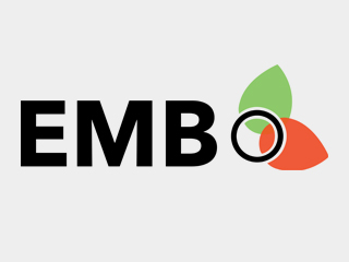 EMB